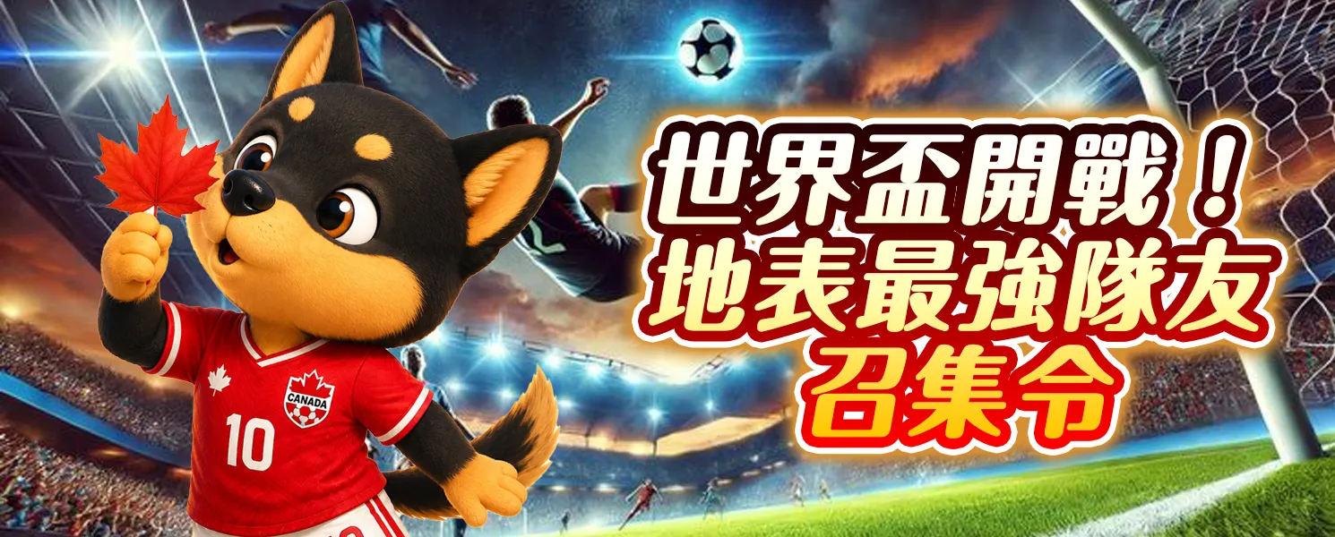 KG開金10